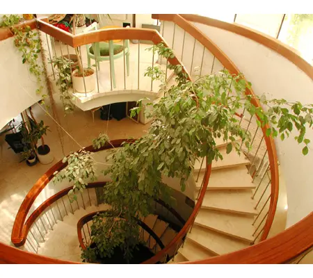Curved Banister